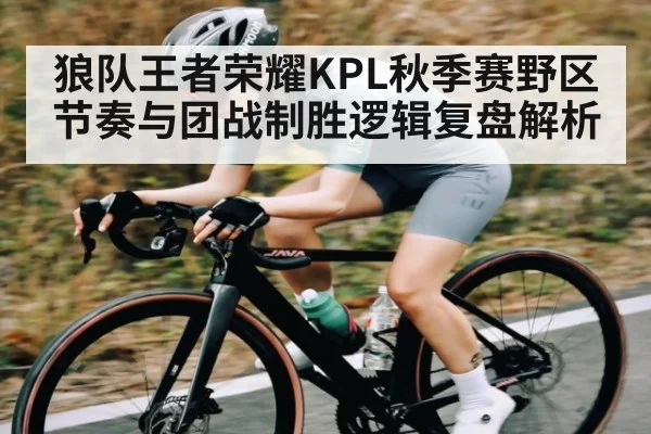 狼队王者荣耀KPL秋季赛野区节奏与团战制胜逻辑复盘解析